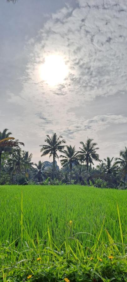 Tempat Tidur & Sarapan Galang Hari
