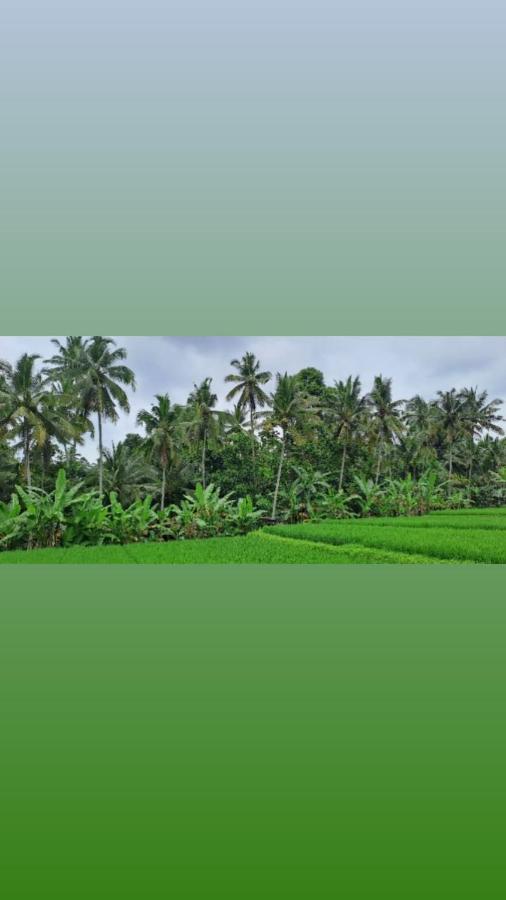 Tempat Tidur & Sarapan Galang Hari Ubud (Bali)