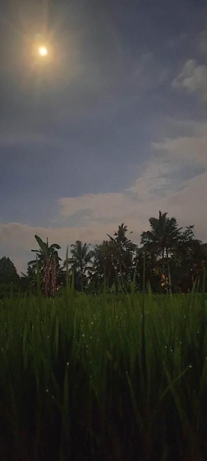 Tempat Tidur & Sarapan Galang Hari