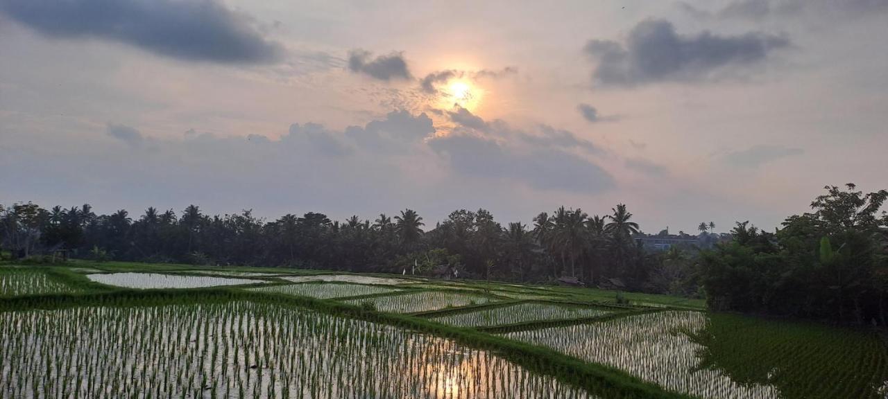 Galang Hari Bed & Breakfast Ubud