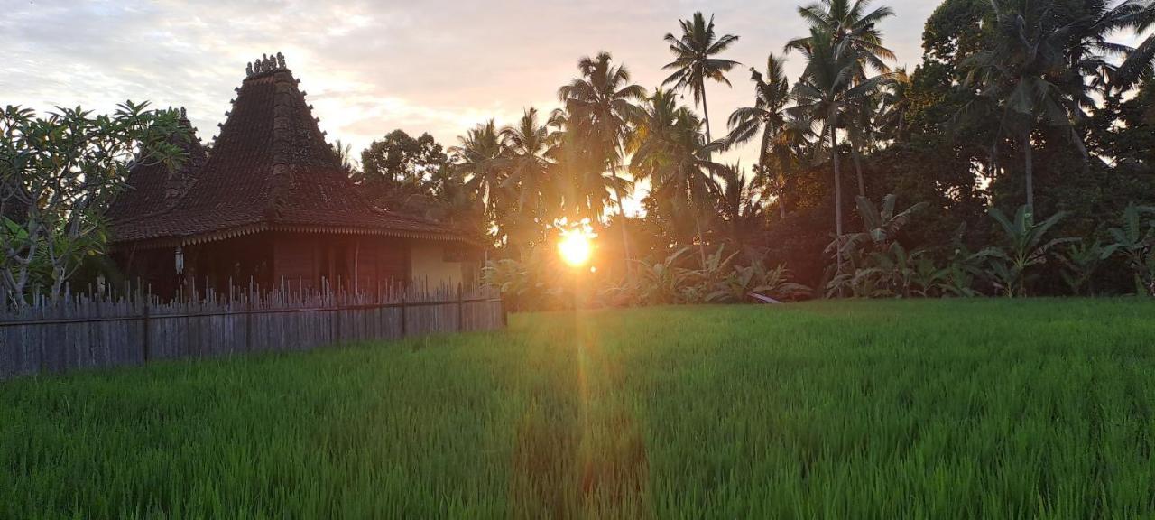 Galang Hari Bed & Breakfast Ubud