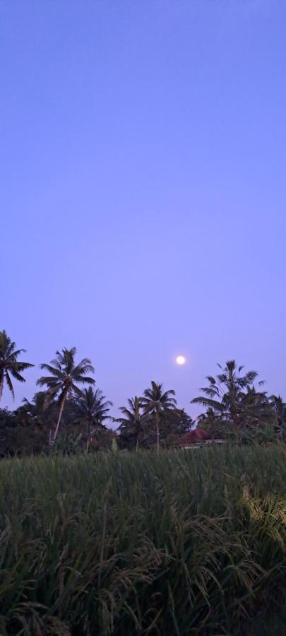 Galang Hari Ubud