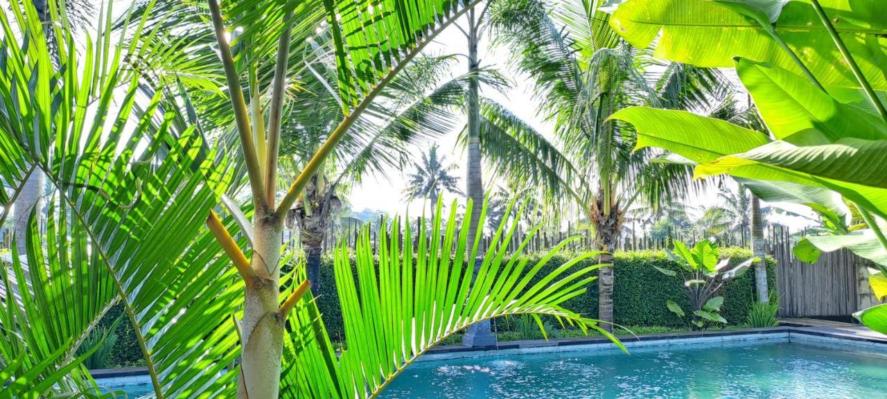 Galang Hari Bed & Breakfast Ubud