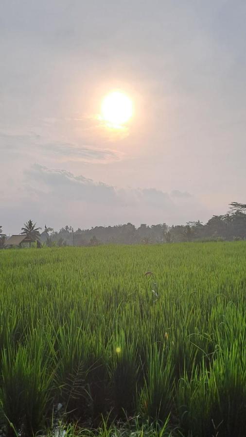 Galang Hari Ubud